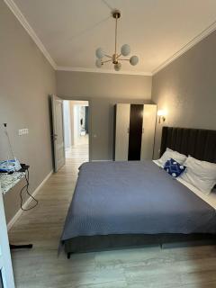 ЖК ТАНДАУ,хан шатыр,рдц,центр нейрохир,материнства и детсво - 3