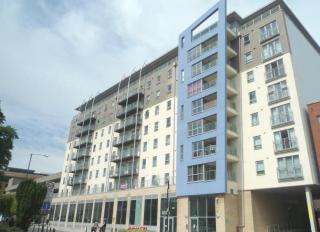 The Sycamore Suite - 1