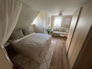 Apartmán Josefská - 3