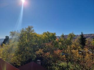 Elysium Zenith Estate - 5