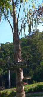 chales 03 canário fogo - 6