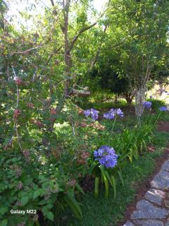 chales 03 canário fogo - 7