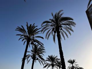 Costa Blanca Apartment - 2