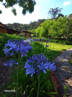 Chalé 02 beija flor - 9