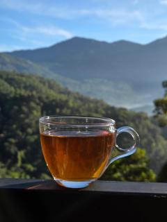 The Tea Leaf Munnar - 2