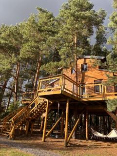 ForRest House Domki na drzewie niedaleko Suntago - 7