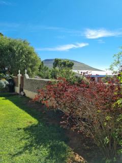 Serene Haven Guest House - 1