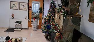 Kyperounta Troodos mountain house - 5