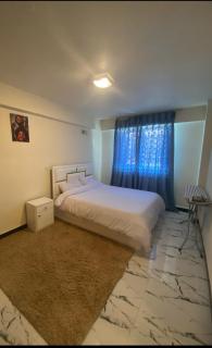 1 bedroom apartment near UNECA - 9