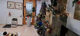 Kyperounta Troodos mountain house - 3