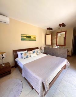 Villa Athena at Grand Baie with private pool - 4