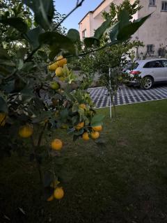 Guest House White Villa - 7