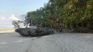 Hoga Island Dive Resort - 6