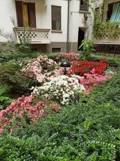 Casa Milano vicino bosco verticale - 7