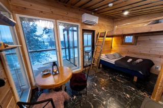 Rock House, Lake Saimaa - 9