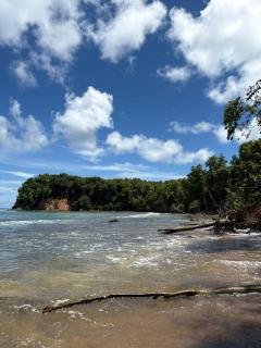 Studio SUCRIER TARTANE - 3