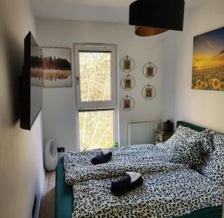 Green Apartament Chill Modlin Airport - 9