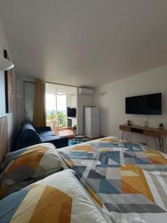 Studio SUCRIER TARTANE - 1