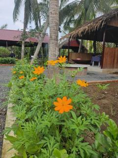 Homestay Xóm Quê - 3