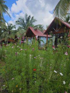 Homestay Xóm Quê - 5