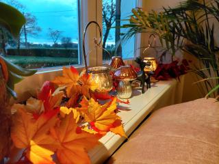 B&B Den Bruynen Bergh - Beernem - 6