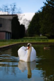 Relais du Bois Saint Georges - Hôtel de Charme - 1