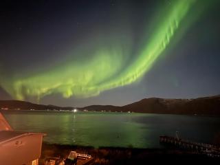 Nordic Sauna Retreat - 1