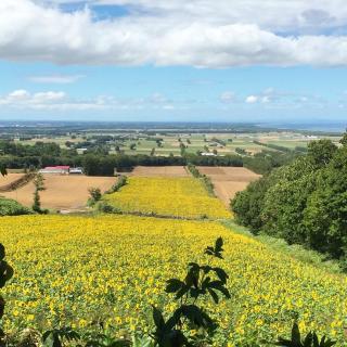 Tezukuri Cottage Mauranarani - Vacation STAY 49824v - 2