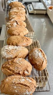 Restaurant - Café - Pension HASSLER - 7