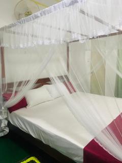 Serene Lumina Mirissa - 8