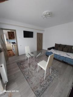 Garsoniera,,La Gigea" - 9