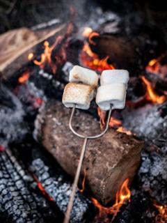 Lovingly Restored Historic Cottage in Adirondack Mountains, New York - 4