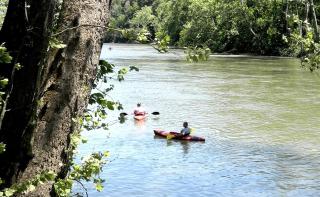 Beautiful Waterfront Yurt for Rent near Washington DC, Virginia - 8