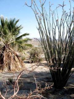 Eclectic Cabin Rental near Joshua Tree National Park - 6