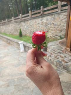 Hotel Rural El Nuevo Semellon Aceptamos Mascotas - 1