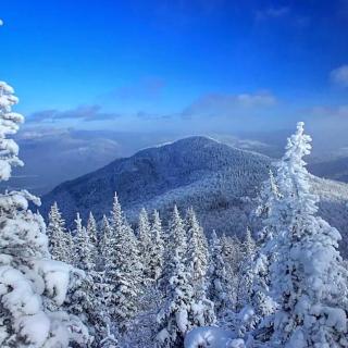 Luxury Open Floor Plan Studio Rental in Nine-Acre Sculpture Garden in the Adirondacks - 1