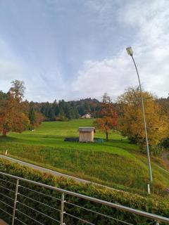 Ländle Lodge, Ferienwohnung nahe Bregenz, Lindau und Bodensee - 1
