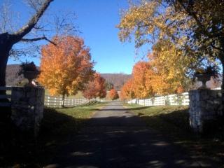 Romantic Cottage Getaway with Stunning Views of the Blue Ridge Mountains in Virginia - 7