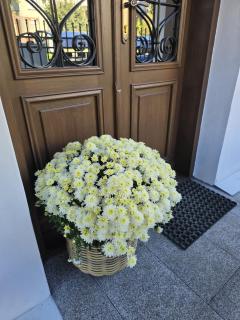 Apartamenty CAPPUCCINO - 3