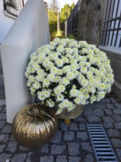 Apartamenty CAPPUCCINO - 4