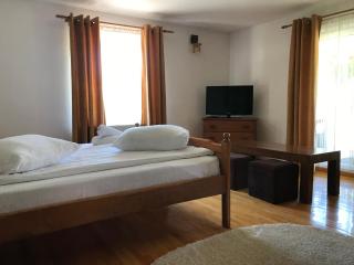 Pensiunea Ionela - 9