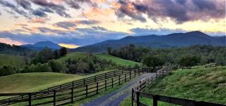 Lovely Cottage on Farm near Shenandoah National Park, Virginia - 5