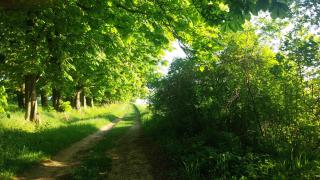 Ferienwohnung im ehemaligen Gutshaus - 8