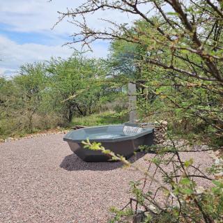 Rupping Bush Retreats - 9