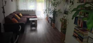 Beautiful apartment in greenery with a large terrace - 4