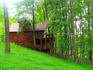 Wooded & Fabulous Brown County Cabin with Hot Tub Near Nashville, IN - 2
