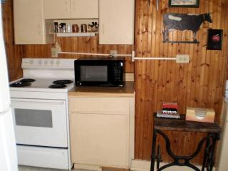 Comfortable Cottage for Large Groups near Bedford, Virginia - 7