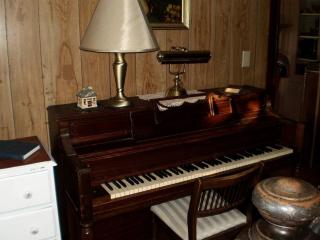 Comfortable Cottage for Large Groups near Bedford, Virginia - 6