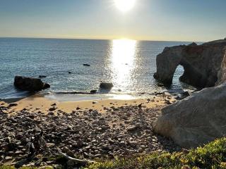 Studio rénové à Quiberon - Vue mer - Animaux acceptés - Balcon - FR-1-478-101 - 1