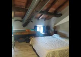 Ampia stanza nelle campagne parmensi - 7